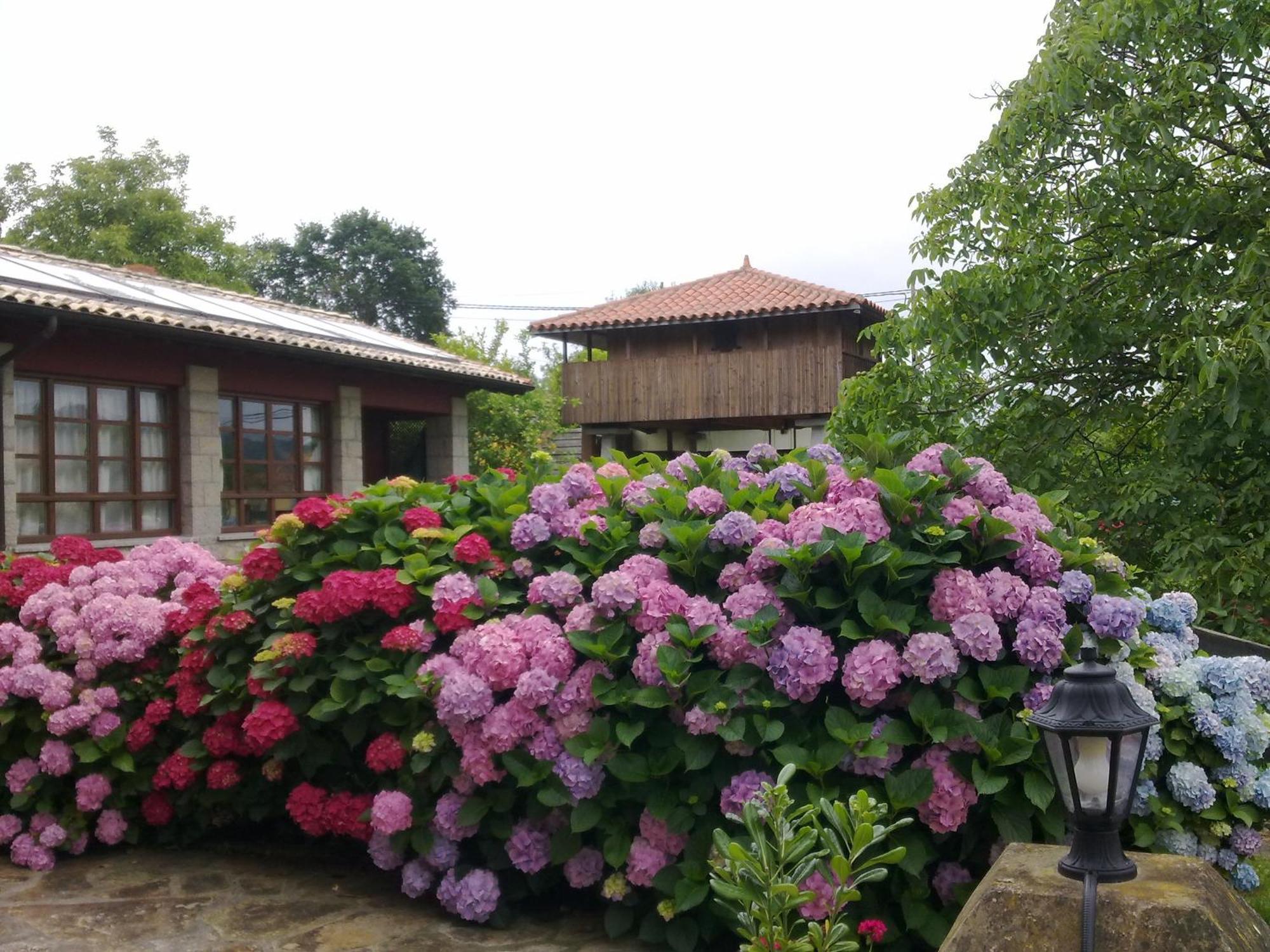 Hotel Rural Ovio Nueva De Llanes Zewnętrze zdjęcie